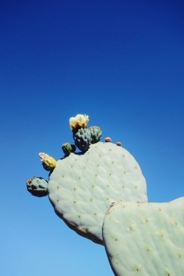 Katharina Godbersen | Design & Art Direction