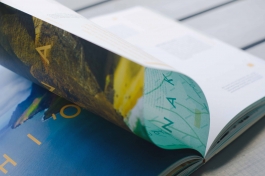 Katharina Godbersen | Design & Art Direction