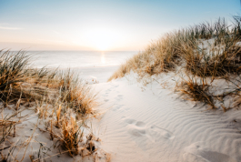 Katharina Godbersen | Design & Art Direction