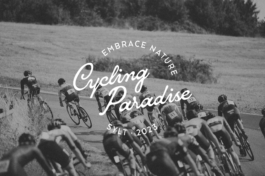 Katharina Godbersen | Design & Art Direction