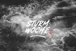 Katharina Godbersen | Design & Art Direction