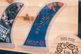 Katharina Godbersen | Design & Art Direction