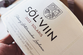 Sölviin_Design_Thumbnail 